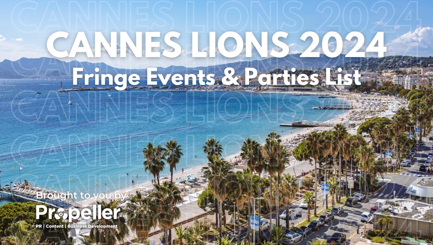 CANNES LIONS 2024(2)